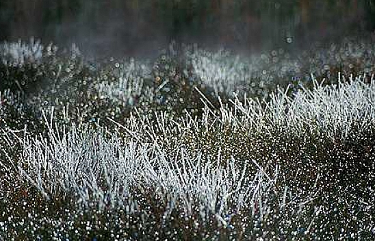 Malatya'da Hava Durumu! 23 Kasım'da Nasıl Olacak....