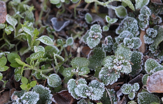Malatya'da hava durumu! 4 Ocak'ta nasıl olacak....