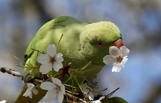 Malatya'da hava nasıl olacak? İşte ilçe ilçe hava durumu raporu...