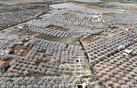 Malatya'da Hava Sıcaklığı -4 Dereceye Düşecek: Üreticiler Tedirgin!