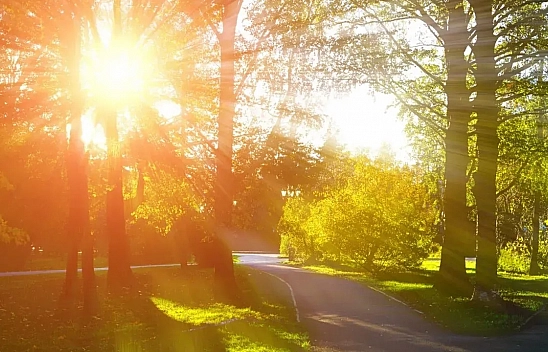 Malatya'da Hava Sıcaklığı Kaç Derece Ölçüldü?