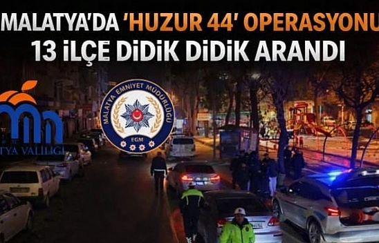 Malatya'da 'Huzur 44' Operasyonu: 13 İlçe Didik Didik Arandı