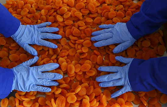 Malatya'da ihracatta gerilerdeyiz ama 2024 yılında ümitliyiz