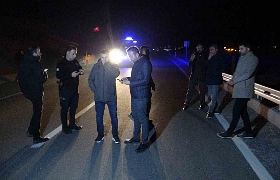 Malatya'da kaçan yarış atları karayoluna çıktı: 6 at telef oldu, 2 kişi yaralandı