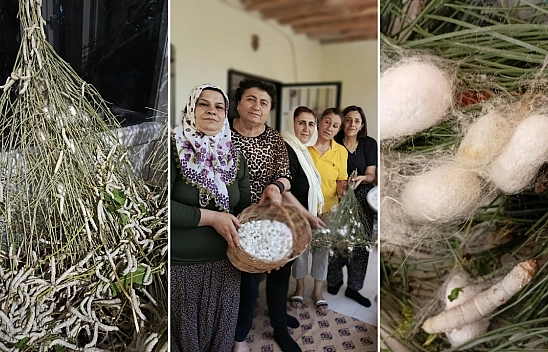 İpek böceği Malatyalıların geçim kaynağı oldu