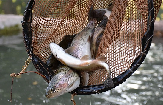 Malatya'da Kapıkaya Barajı 10 yıllığına kiralanacak