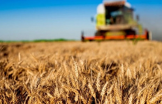 Malatya'da kapsamlı sayım öncesi eğitim!