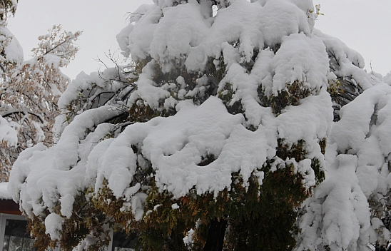Meteoroloji Uyardı! Göz Gözü Görmeyecek, Malatya'ya Kar Geliyor!