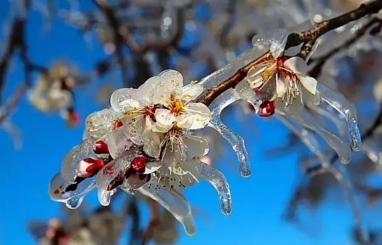 Malatya'da Kar Yağışı Bitti, Hava Buz Kesti! Sıcaklıklar Sıfırın Altına Düştü....