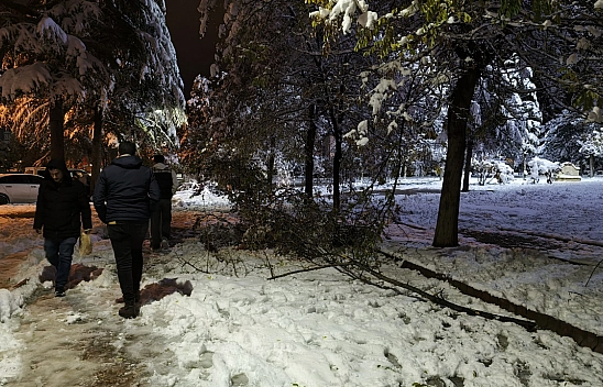 Malatya'da Kar Hayatı Felç Etmeye Devam Ediyor: Ağaç Dalları Kırıldı!