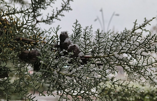 Malatya'da Kar Yağışı Başladı