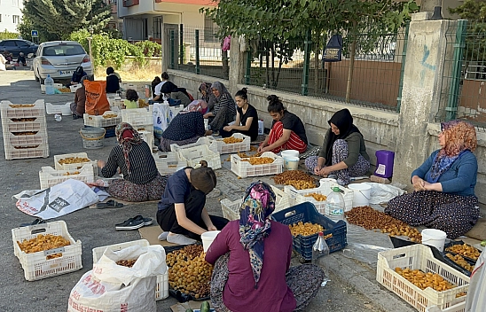 Malatya'da kasa başına 150 TL kazanacaklarken, ceza tehdidiyle karşılaştılar