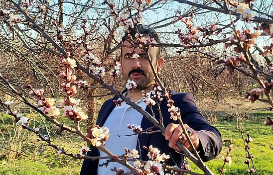 Malatya'da kayısı ağaçları erken çiçek açtı: Çiftçiler endişeli…