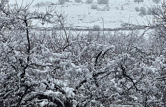 Meteoroloji günler önce uyarmıştı! Malatya'da beklenen oldu! Kar altında kaldı