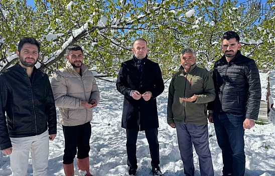 'Malatya'da kayısı krizi: Afet bölgesi ilan edilmeli