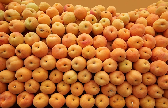 Malatya'da Kayısı Hamlesi: Doluluk Oranı Yüzde 60'a Ulaştı..!