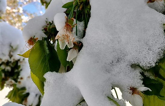 Malatya'da kış bitmek bilmiyor: Hava sıcaklığı 10 derece altında seyredecek…
