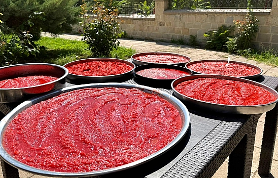 Malatya'da kış hazırlığı başladı: Domates ve biberler sofralık lezzetlere dönüşüyor