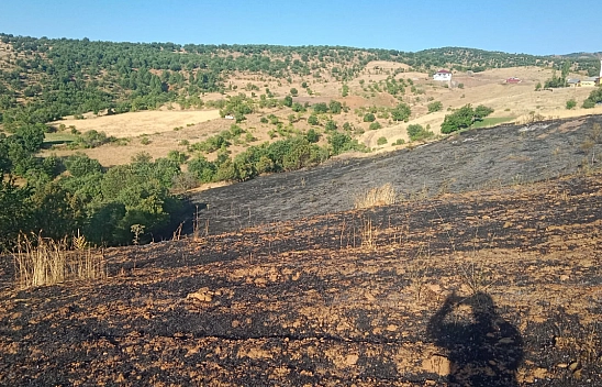 Malatya'da korkutan yangın: 2 ev kül oldu, 20 dönüm bahçe zarar gördü