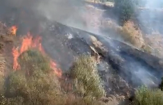 Malatya'da korkutan yangın: Yerleşim alanlarına yaklaştı!