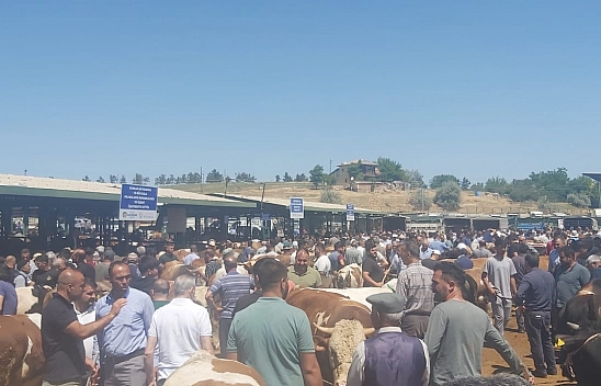 Malatya'da Kurban Telaşı: Hayvan Pazarı Doldu Taştı…