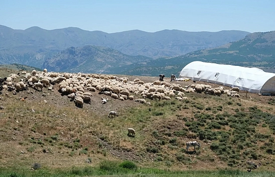 Malatya'da mera alanları yüzde 7,1 arttı