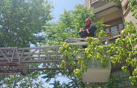 Malatya'da kedi kurtarma operasyonu