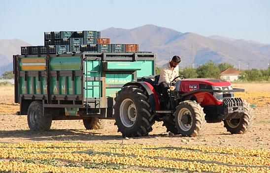 Malatya'da işçi yevmiyesi belli oldu!
