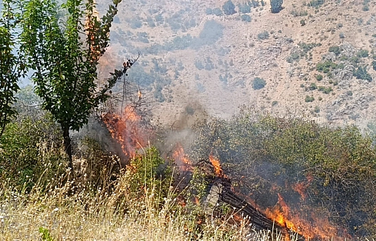 Malatya'da bahçe yangını: Meyve ağaçları ve üzüm bağları kül oldu!