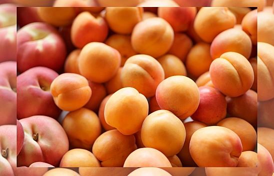 Malatya'da olmayan kayısının maliyeti arttı