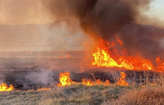 Malatya'da sazlık yangını!