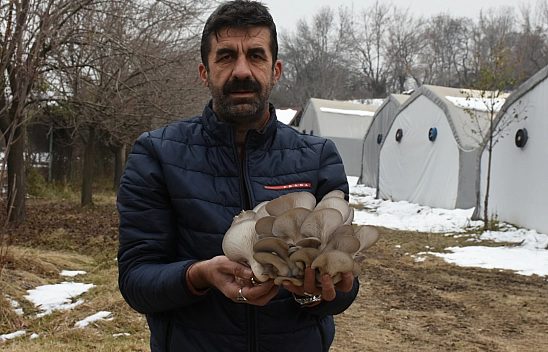 Malatya'da Sadece 7 Tesiste Yılda 95 Ton Üretim Yapılıyor!