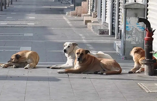 Malatya'da belediyeler Eylül'de denetlenecek