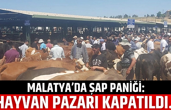 Malatya'da Şap Paniği: Hayvan Pazarı Kapatıldı…