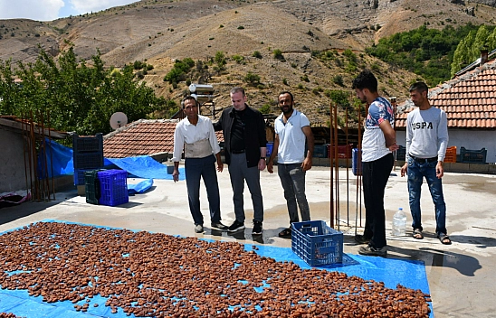 Malatya'da sel felaketi! Kayısılar büyük zarar gördü, çiftçi destek bekliyor