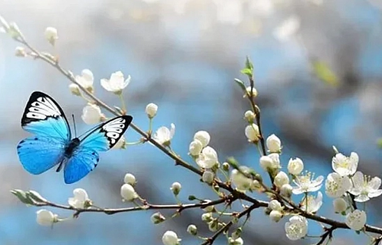 Malatya'da sıcaklıklar artıyor!