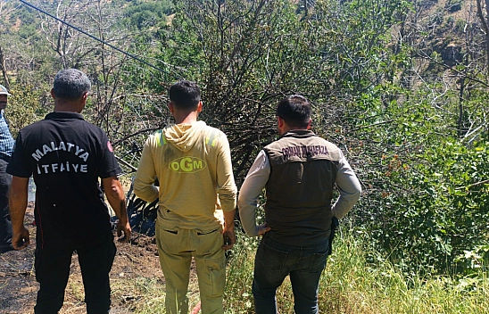 Malatya'da sıcaklar arttı, yangınlar başladı: Alevler 4 ilçeyi sardı