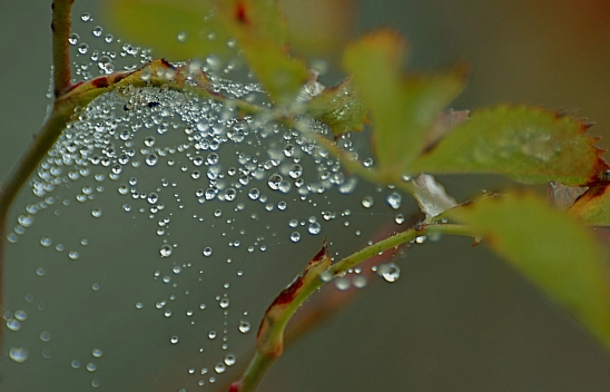 Malatya'da Soğuk Hava Etkisi Devam Ediyor! İşte Hava Durumu...