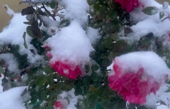 Malatya'da Soğuk Hava Etkisi Devam Ediyor! İşte Hava Durumu..