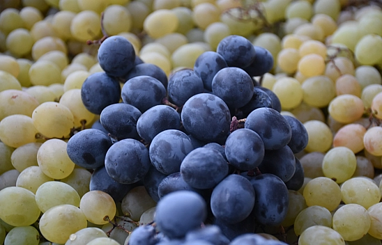 Malatya'da sonbaharda üretiliyor. Mayısa kadar tazeliğini koruyor!