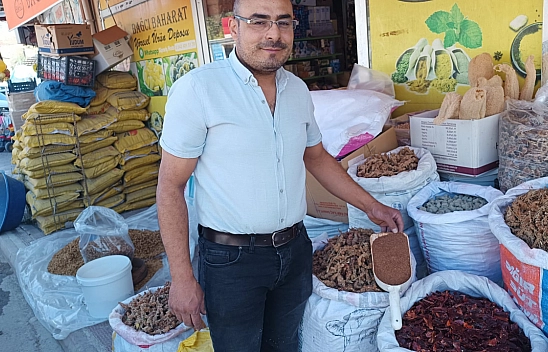 Malatya'da sumak hasadı başladı: Kilosu 350 TL'den alıcı buluyor