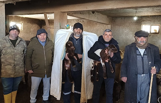 Malatya'da Tapulu Arazilere TOKİ Şoku! Yılmaz Ailesi Hayvanlarıyla Ortada Kaldı!