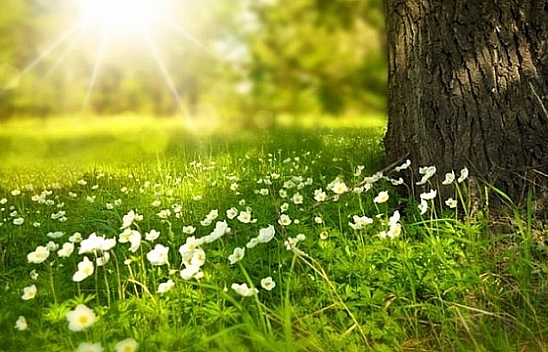Malatya yalancı baharı yaşayacak...