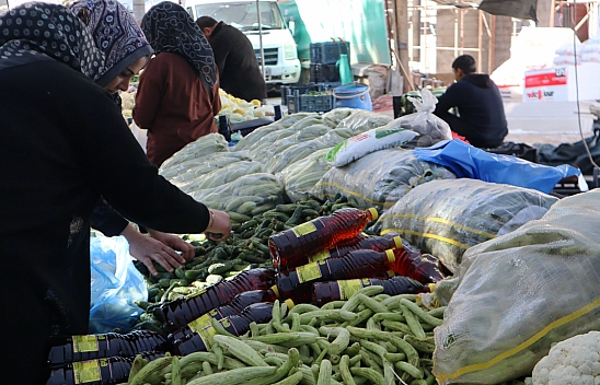 Malatya'da turşu kurmak pahalıya patladı! Peki pazarda turşu malzemelerinin fiyatı nedir?