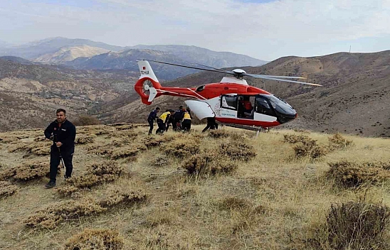 Malatya'da ağaç kesimi facia ile sonuçlandı