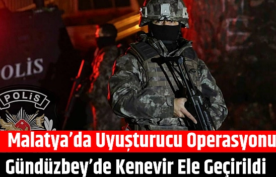 Malatya'da uyuşturucu operasyonu: Gündüzbey'de Kenevir ele geçirildi