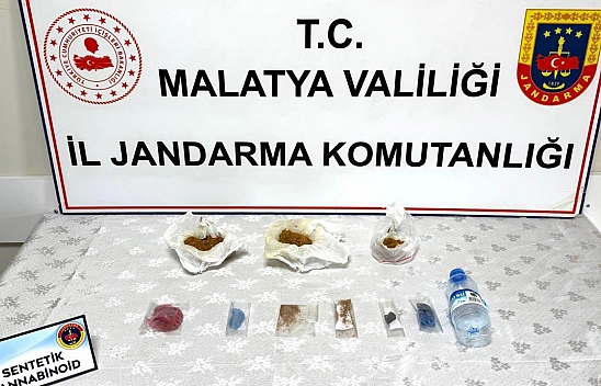 Malatya'da uyuşturucu operasyonu, bonzai ele geçirildi