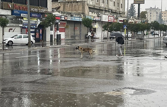 Malatya'da yağış etkili olacak