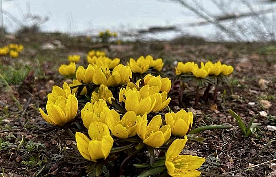 Malatya'da yağışlar sona erdi, güneşli günler başlıyor!