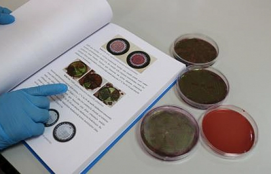 Malatya'da yapılan araştırma gerçeği ortaya çıkardı! Çiğ Sütten Geçiyor